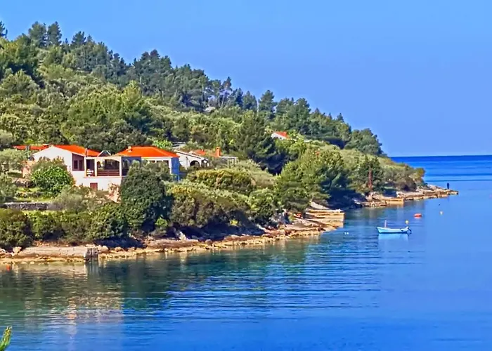 Nyaraló Katica Vela Luka